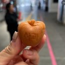 바닷가횟집 | 영덕 대게 코스 맛집 바닷가 바로 앞 대구횟집 B코스 솔직후기