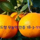 올레에반하다 이미지
