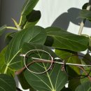 안경 정주다 이미지