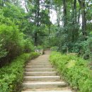 개화산 자락길 이미지