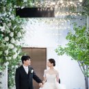 빌라드화이트 이미지