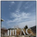 대형애견 | 청주 대형 카페 애견 동반 일일일락 후기