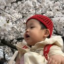 팡팡야자 키즈풀빌라 | 경주키즈풀빌라:) 팡팡야자풀빌라 14개월아기랑 오기 좋은 곳 🤍