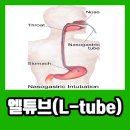 엘튜브 이미지