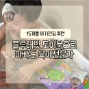 블루래빗 | 15개월 아기전집 블루래빗 토이북 후기 아빠도 육아전문가로 만들어주는 아기전집