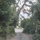 낙원정횟집 | 마산 오션뷰 대하구이 <낙원정횟집> 후기 (8/31)