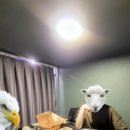 홍대 보드게임 카페 더 조커 무제한 요금제 가성비