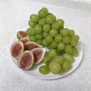 달달과즙