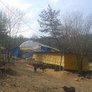 탐진농장 이미지