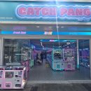 캐치팡프리미엄 네이버블로그