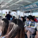 거북이 | 하와이 신혼여행 거북이 스노클링 투어 후기