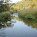 일신축산 이미지