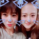모이세포차