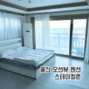 스테이 청춘 | 울산펜션 스테이청춘 오션뷰 숙소 커플방 후기