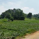 신방통정로 이미지