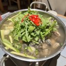 회돋이 | 대구 교동 후토마끼 방어 안주 하이볼 맛집 내돈내산 회돋이 후기