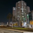 안양 꽃집, 조각초, 벽장식까지 수제로 만드는 지니 플로라