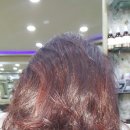 향기나라 이미지