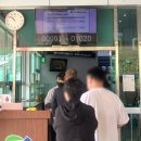 통영케이블카(하부야외) | 통영케이블카 4인 가족 탑승 후기! 할인 정보