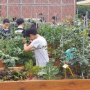 도심초등학교 이미지