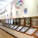 파주 나비나라박물관 이미지