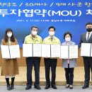 파란식품 티스토리
