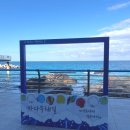 베스트원 포천심곡점 | 강릉 여행 추천지 "정동심곡 바다부채길" 입장료, 주차, 출발 지점에 따른 장단점 비교