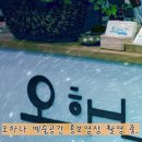 오하나예술공간 Daum카페