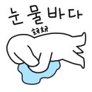 낙산스테이 이미지