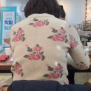 도전 악필탈출 이미지