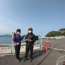 안도항 Daum카페