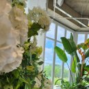 빈인더바스켓(Bean in the basket) 이미지