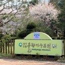 피크닉 | 오산 물향기수목원 주말 피크닉 후기 | 무료 입장 + 주차 꿀팁