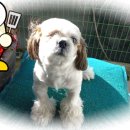 안골로108번길 이미지