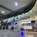 골드휴매점 | [제주한달살기] 완도항에서 차량선적해서 골드스텔라호 타고 제주도 입도 후기