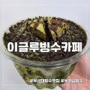 카페이글루 | 부산대 빙수맛집 이글루빙수카페 녹차섬빙수 배달 후기｜우유얼음에 녹차 가득, 부산대 디저트로 딱!