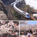 매화2길 이미지