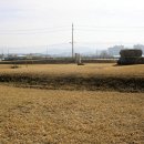 남원 만복사지 석조대좌 이미지