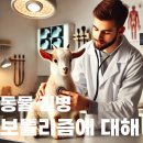 경기도 북부동물위생시험소 | 보툴리즘 동물 염소 발병 원인 증상 예방과 치료법 알아보자