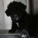 우람동물병원 이미지