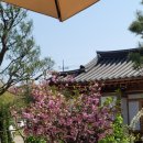 화림원