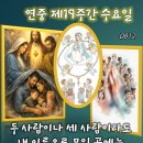 2026-08-12연중 제19주간 수요일＜그가 네 말을 들으면 네가 그 형제를 얻은 것이다.＞ 이미지