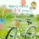 매일 행복