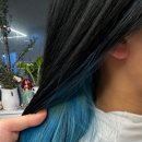 헤어볼하우스 이미지