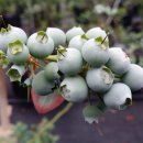 영구농장 이미지