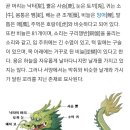 드래곤하우스