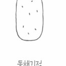 동해기정 이미지