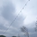 르꼬리카페 이미지