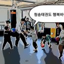 청송태권도장 이미지