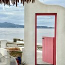 푸른바다하우스 | 인천 강화도 카페 109하우스 나는솔로 촬영지 바다뷰 애견동반 대형카페